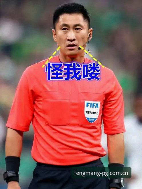 裁判的马宁式生存：不看评论，只看判罚
